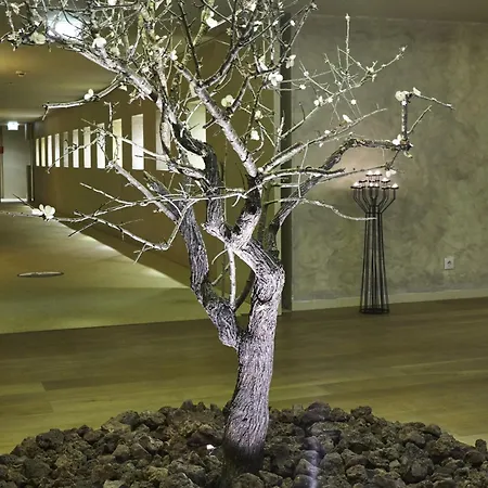 Crowne Plaza - Algarve By Ihg